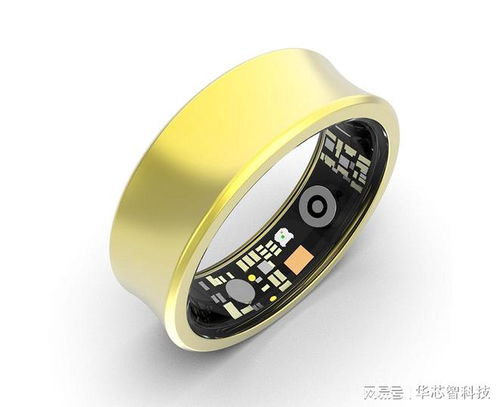 智能健康監(jiān)測(cè)戒指選購(gòu)指南 專(zhuān)業(yè)品牌深度解析